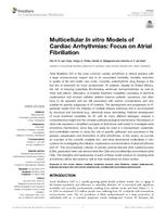 Multicellular in vitro models of cardiac arrhythmias: focus on atrial fibrillation