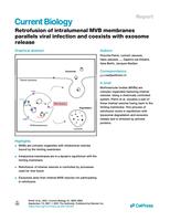 Retrofusion of intralumenal MVB membranes parallels viral infection and coexists with exosome release