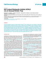 K27-linked diubiquitin inhibits UCHL3 via an unusual kinetic trap