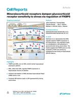 Mineralocorticoid receptors dampen glucocorticoid receptor sensitivity to stress via regulation of FKBP5