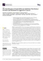 The identification of small molecule inhibitors that reduce invasion and metastasis of aggressive cancers