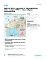 Lipolysis drives expression of the constitutively active receptor GPR3 to induce adipose thermogenesis