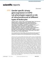 Gender specific airway gene expression in COPD sub-phenotypes supports a role of mitochondria and of different types of leukocytes
