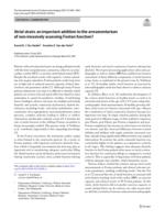 Atrial strain: an important addition to the armamentarium of non-invasively assessing Fontan function?