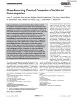 Shape-preserving chemical conversion of architected nanocomposites