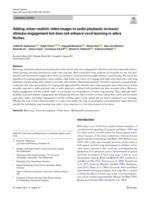 Adding colour-realistic video images to audio playbacks increases stimulus engagement but does not enhance vocal learning in zebra finches