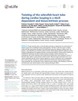 Twisting of the zebrafish heart tube during cardiac looping is a tbx5-dependent and tissue-intrinsic process