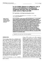 In vivo studies disprove an obligatory role of azurin in denitrification in Pseudomonas aeruginosa and show that azu expression is under control of RpoS and ANR