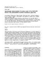 Spectroscopic characterization of reaction centers of the (M)Y210W mutant of the photosynthetic bacterium rhodobacter-spaeroides