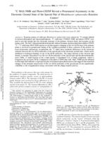 13C MAS NMR and photo-CIDNP reveal a pronounced assymetry in the electron ground state of the special pair of Rhodobacter spearoides reaction centers