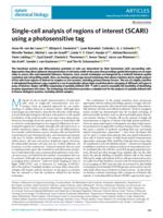 Single-cell analysis of regions of interest (SCARI) using a photosensitive tag