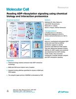 Reading ADP-ribosylation signaling using chemical biology and interaction proteomics