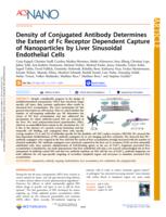 Density of conjugated antibody determines the extent of Fc receptor dependent capture of nanoparticles by liver sinusoidal endothelial cells