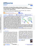 Site-specific N-linked glycosylation analysis of human carcinoembryonic antigen by sheathless capillary electrophoresis-tandem mass spectrometry