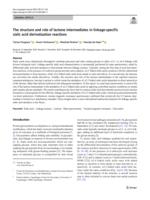 The structure and role of lactone intermediates in linkage-specific sialic acid derivatization reactions