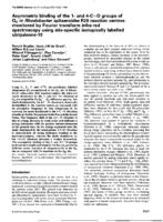 Asymmetric binding of the 1- and 4-C=0 of QA in Rhodobacter sphaeroides R26 reaction centres monitored by Fourier transform infra-red spectroscopy using site-specific isotopically laballed ubiquinone-10