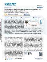 Electrocatalysis under cover