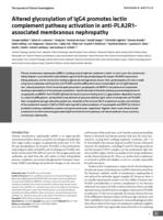 Altered glycosylation of IgG4 promotes lectin complement pathway activation in anti-PL A2R1-associated membranous nephropathy