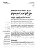 Biophysical evaluation of rhesus macaque Fc gamma receptors reveals similar IgG Fc glycoform preferences to human receptors