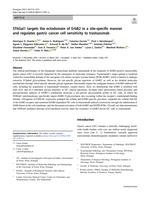 ST6Gal1 targets the ectodomain of ErbB2 in a site-specific manner and regulates gastric cancer cell sensitivity to trastuzumab