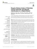 Regular dietary intake of palmitate causes vascular and valvular calcification in a rabbit model