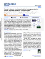 Retinal proteomics of a mouse model of dystroglycanopathies reveals molecular alterations in photoreceptors