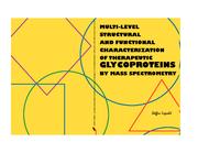 Multi-level structural and functional characterization of therapeutic glycoproteins by mass spectrometry