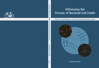 Witnessing the process of bacterial cell death