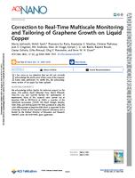 Real-time multiscale monitoring and tailoring of graphene growth on liquid copper