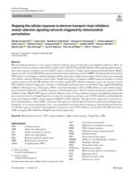 Mapping the cellular response to electron transport chain inhibitors reveals selective signaling networks triggered by mitochondrial perturbation