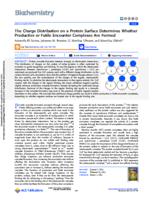 The charge distribution on a protein surface determines whether productive or futile encounter complexes are formed