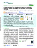 Magnetic-activated cell sorting using coiled-coil peptides