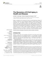 The dynamics of B cell aging in health and disease