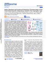 Native structural and functional proteoform characterization of the prolyl-alanyl-specific endoprotease EndoPro from Aspergillus niger