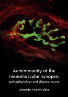 Autoimmunity at the neuromuscular synapse