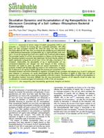 Dissolution Dynamics and Accumulation of Ag Nanoparticles in a Microcosm Consisting of a Soil–Lettuce–Rhizosphere Bacterial Community