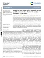 Probing the local activity of CO2 reduction on gold gas diffusion electrodes: effect of the catalyst loading and CO2 pressure