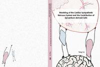 Modeling of the cardiac sympathetic nervous system and the contribution of epicardium-derived cells