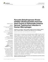 Pyruvate dehydrogenase kinase inhibitor dichloroacetate improves host control of Salmonella enterica serovar Typhimurium infection in human macrophages