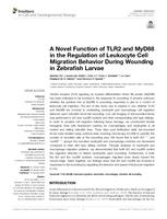 A novel function of TLR2 and MyD88 in the regulation of leukocyte cell migration behavior during wounding in zebrafish larvae