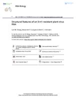 Structural features of an Xrn1-resistant plant virus RNA