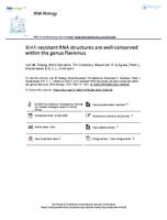 Xrn1-resistant RNA structures are well-conserved within the genus flavivirus