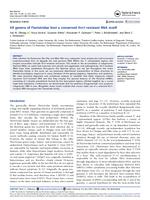 All genera of Flaviviridae host a conserved Xrn1-resistant RNA motif