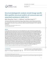 Structural phylogenetic analysis reveals lineage-specific RNA repetitive structural motifs in all coronaviruses and associated variations in SARS-CoV-2