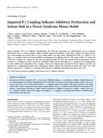 Impaired theta-gamma coupling indicates inhibitory dysfunction and seizure risk in a Dravet syndrome mouse model