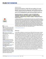 Characterization of ALTO-encoding circular RNAs expressed by Merkel cell polyomavirus and trichodysplasia spinulosa polyomavirus