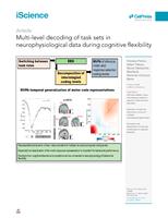 Multi-level decoding of task sets in neurophysiological data during cognitive flexibility