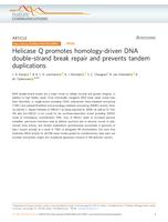 Helicase q promotes homology-driven dna double-strand break repair and prevents tandem duplications
