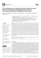 Zinc-phthalocyanine-loaded extracellular vesicles increase efficacy and selectivity of photodynamic therapy in co-culture and preclinical models of colon cancer