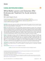 White matter lesions and outcomes after endovascular treatment for acute ischemic stroke MR CLEAN registry results